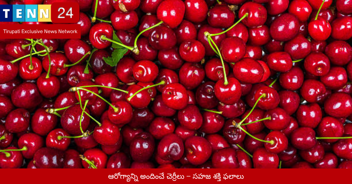 ఆరోగ్యాన్ని అందించే చెర్రీలు – సహజ శక్తి ఫలాలు