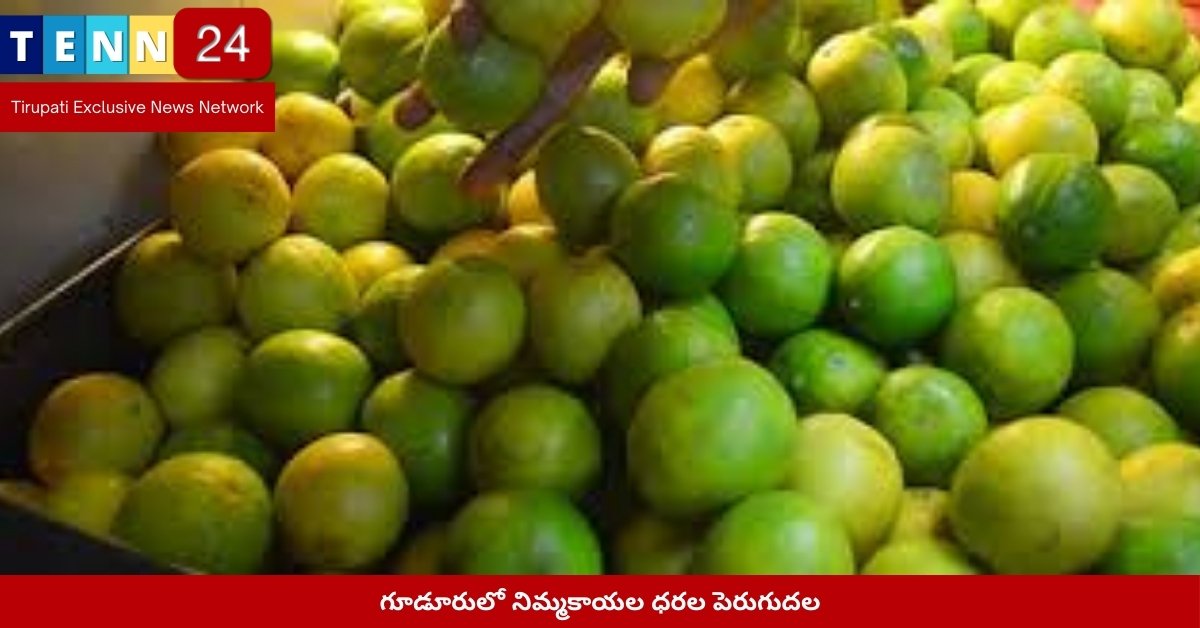 గూడూరులో నిమ్మకాయల ధరల పెరుగుదల