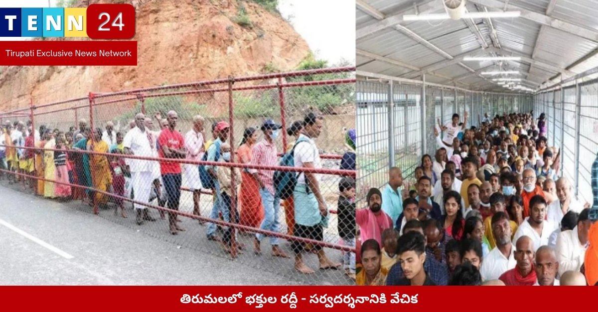 తిరుమలలో భక్తుల రద్దీ - సర్వదర్శనానికి వేచిక