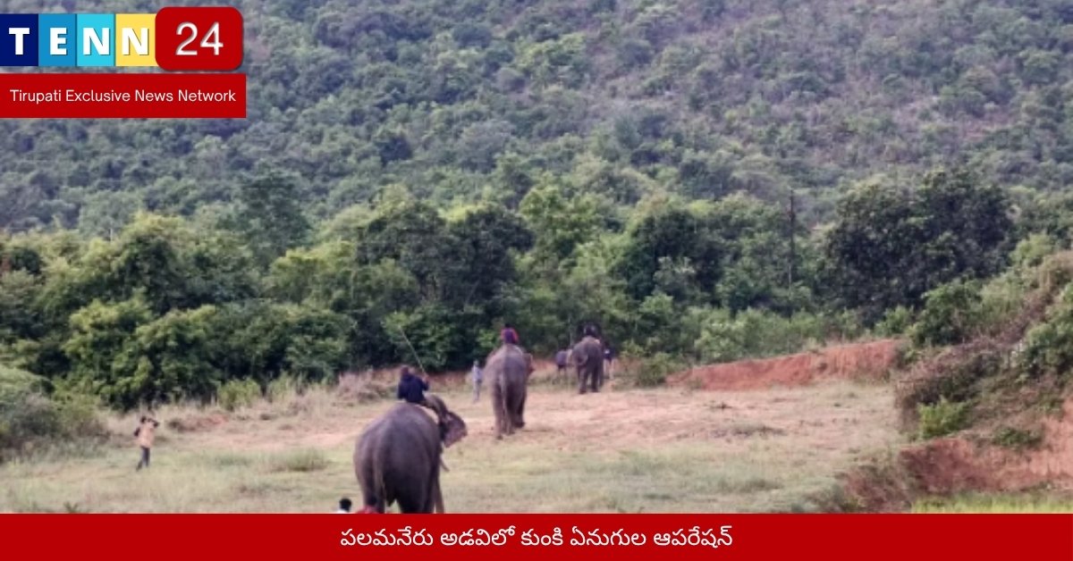 పలమనేరు అడవిలో కుంకి ఏనుగుల ఆపరేషన్