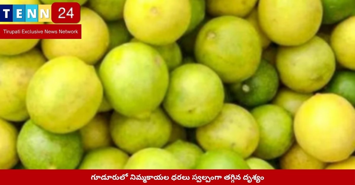 గూడూరులో నిమ్మకాయల ధరలు స్వల్పంగా తగ్గిన దృశ్యం