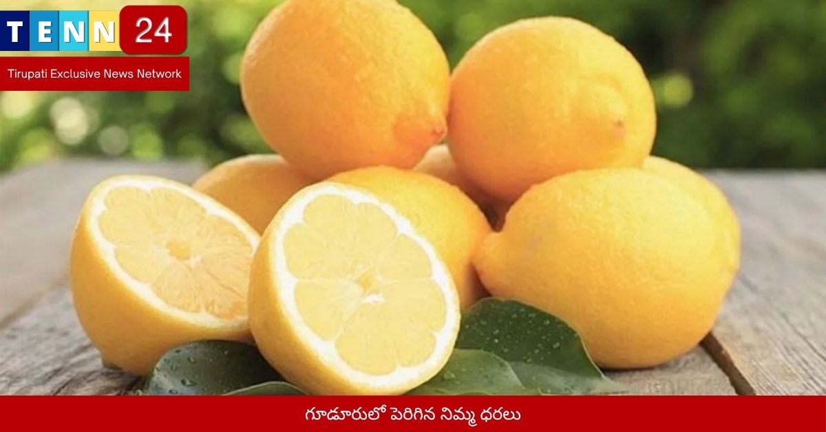 గూడూరులో పెరిగిన నిమ్మ ధరలు