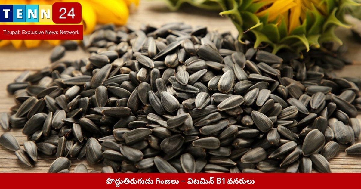 పొద్దుతిరుగుడు గింజలు – విటమిన్ B1 వనరులు