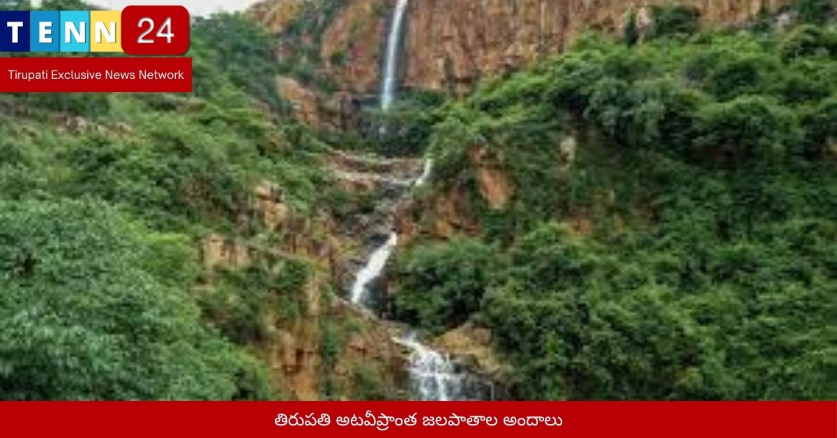 తిరుపతి అటవీప్రాంత జలపాతాల అందాలు