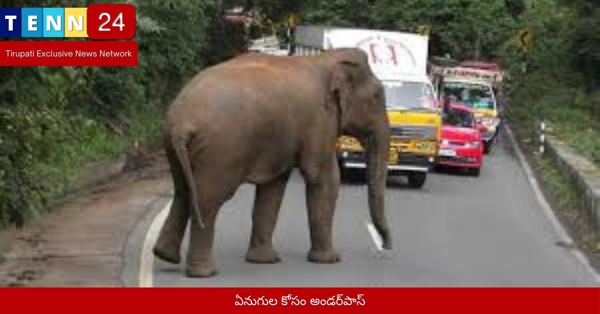 ఏనుగుల కోసం అండర్‌పాస్