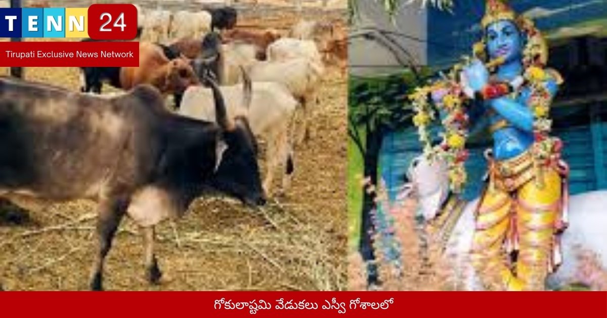 గోకులాష్టమి వేడుకలు ఎస్వీ గోశాలలో