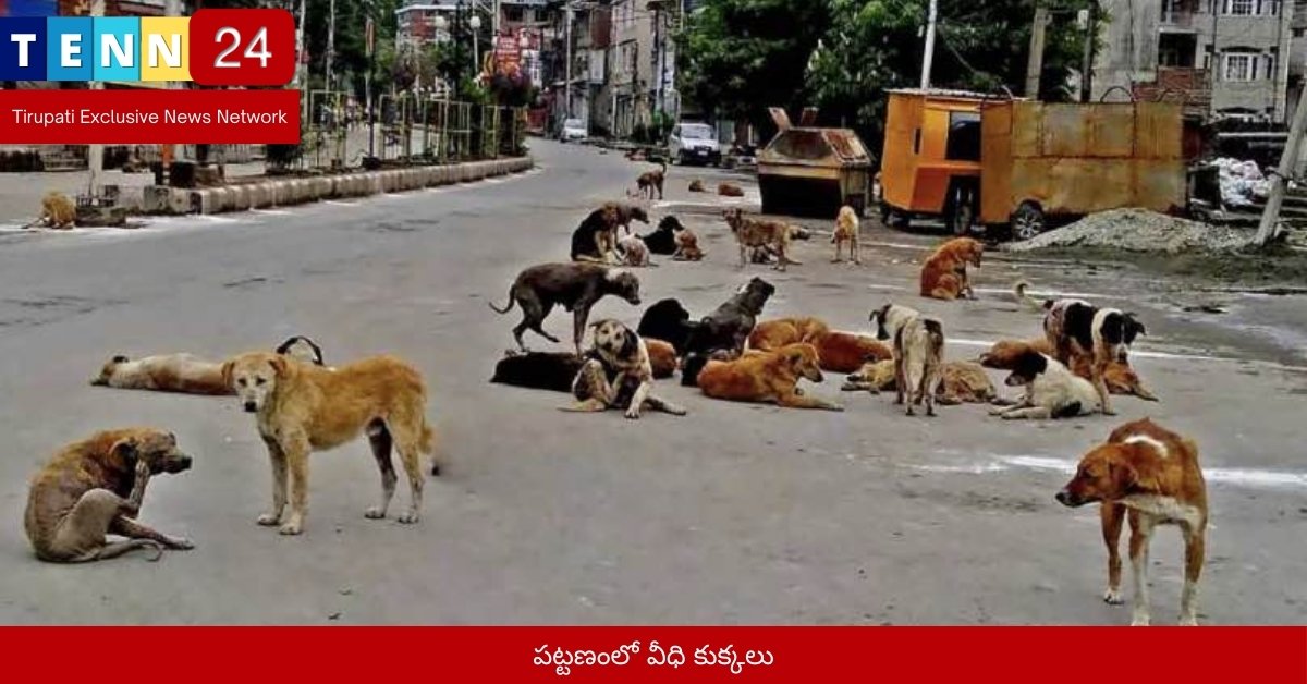 పట్టణంలో వీధి కుక్కలు