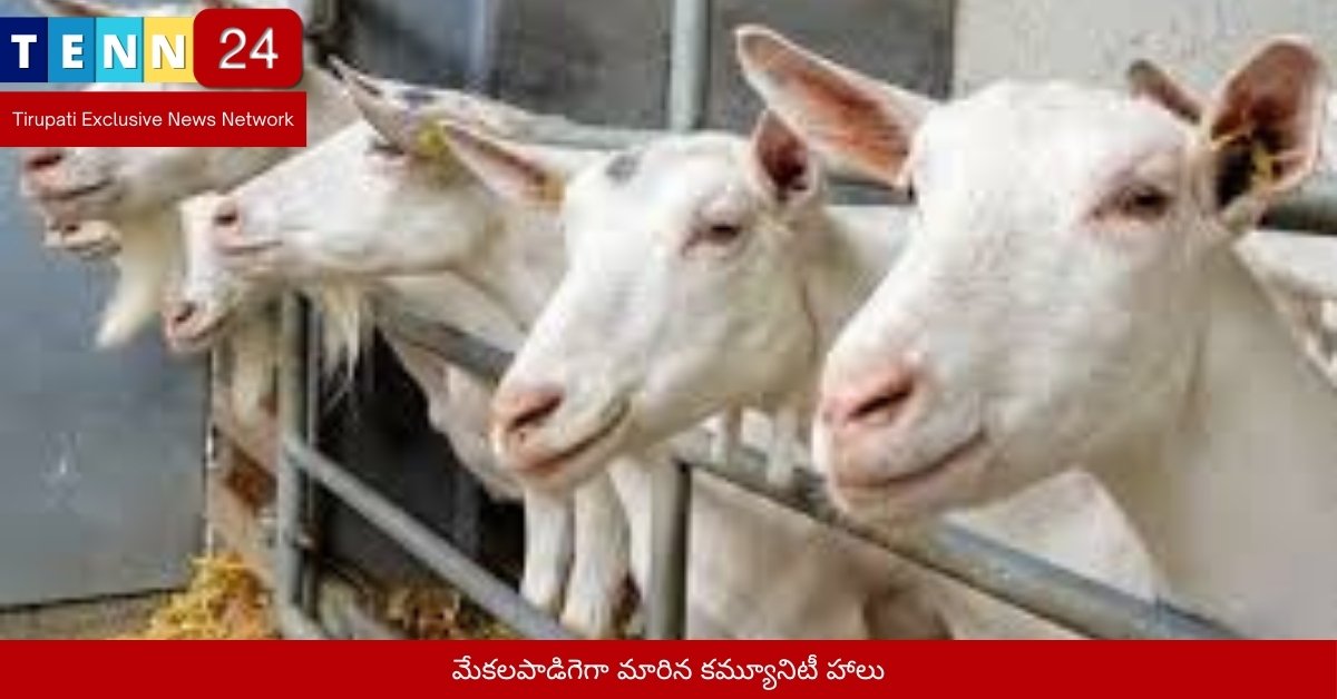 మేకలపాడిగెగా మారిన కమ్యూనిటీ హాలు