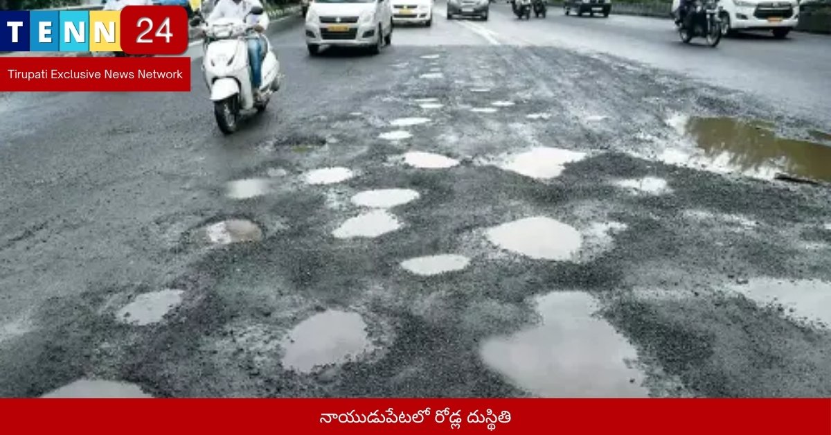 నాయుడుపేటలో రోడ్ల దుస్థితి