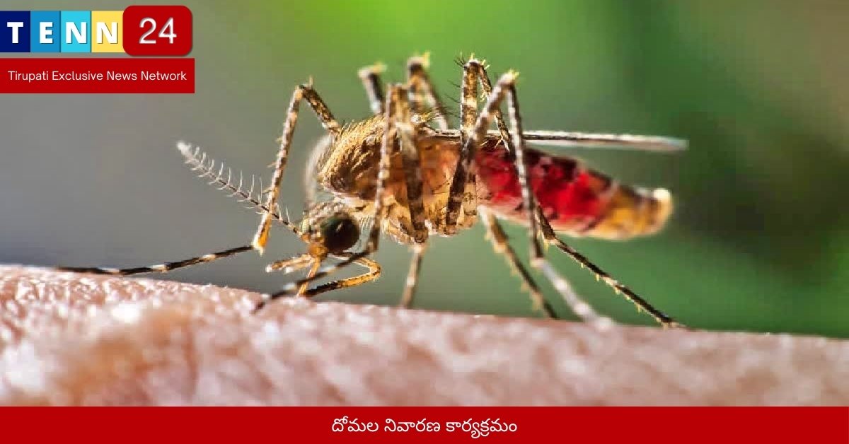 దోమల నివారణ కార్యక్రమం