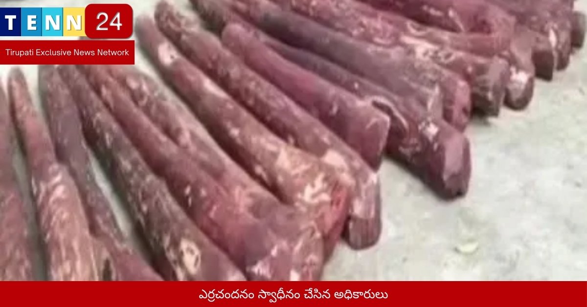 ఎర్రచందనం స్వాధీనం చేసిన అధికారులు