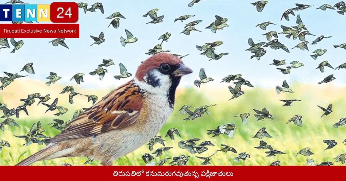 తిరుపతిలో కనుమరుగవుతున్న పక్షిజాతులు