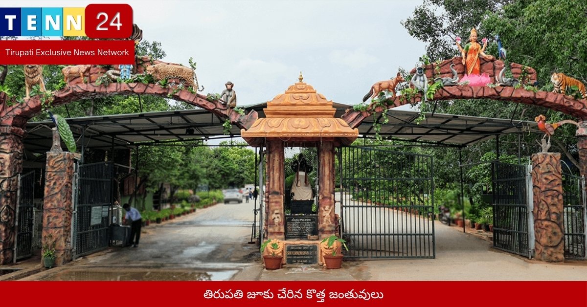 తిరుపతి జూకు చేరిన కొత్త జంతువులు