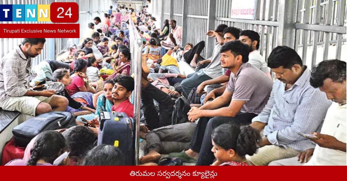 తిరుమల సర్వదర్శనం క్యూలైన్లు