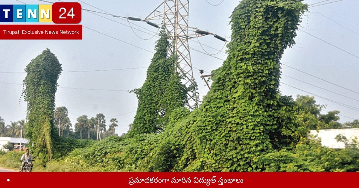 ప్రమాదకరంగా మారిన విద్యుత్ స్తంభాలు