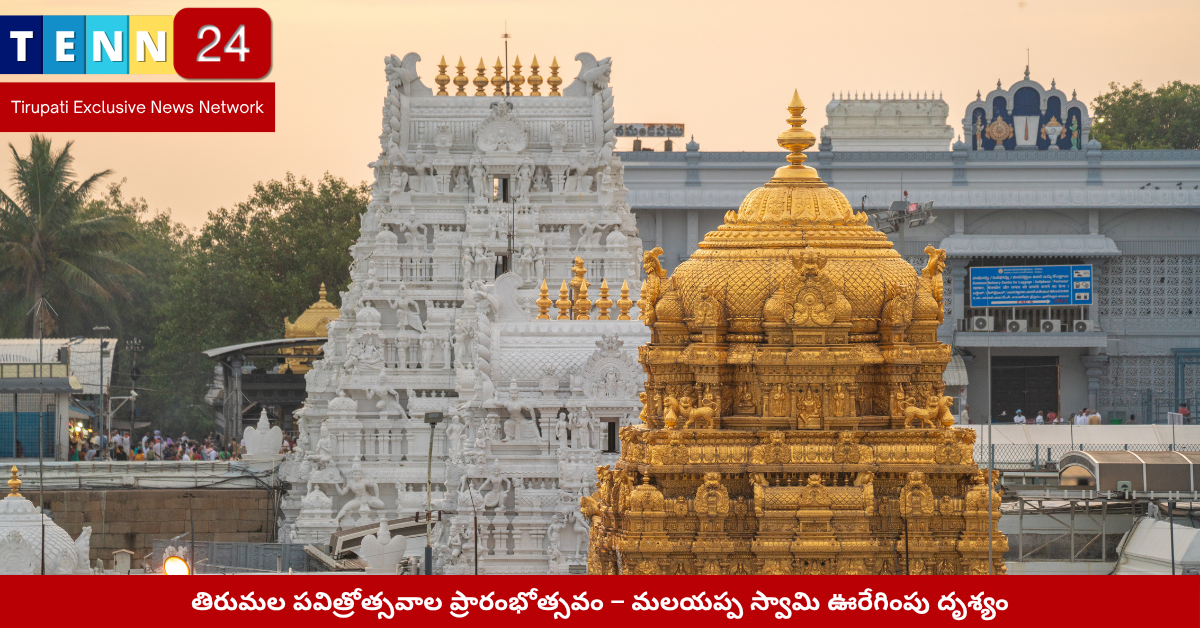 తిరుమల పవిత్రోత్సవాల ప్రారంభోత్సవం – మలయప్ప స్వామి ఊరేగింపు దృశ్యం