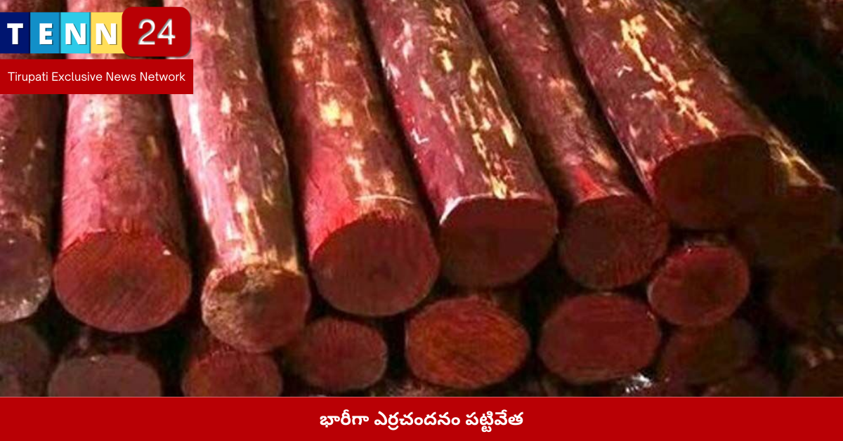 భారీగా ఎర్రచందనం పట్టివేత