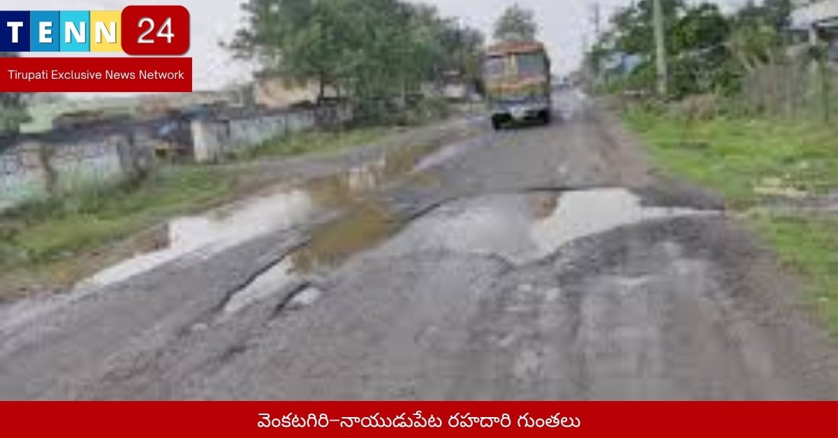 వెంకటగిరి–నాయుడుపేట రహదారి గుంతలు