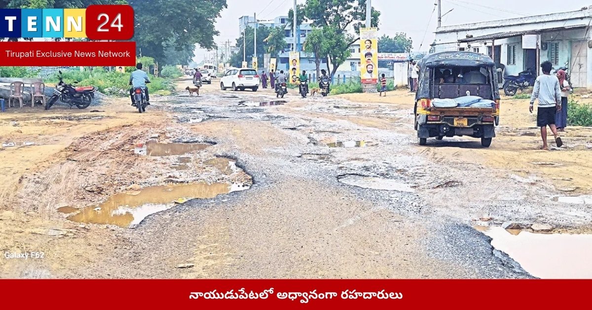 నాయుడుపేటలో అధ్వానంగా రహదారులు