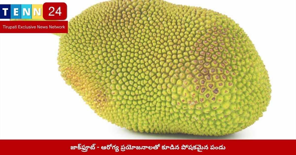 జాక్‌ఫ్రూట్ - ఆరోగ్య ప్రయోజనాలతో కూడిన పోషకమైన పండు