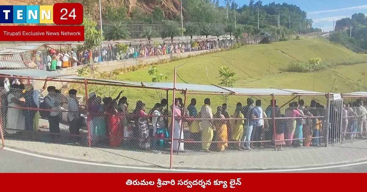 తిరుమల శ్రీవారి, సర్వదర్శన క్యూ, శిలా తోరణం, భక్తులు