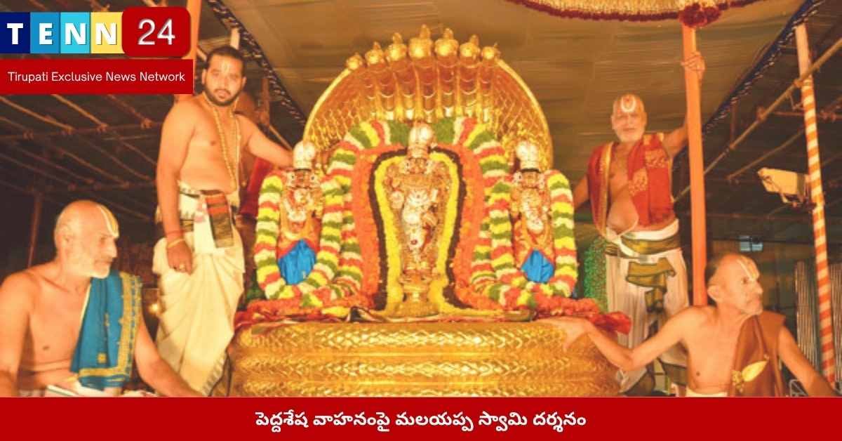 పెద్దశేష వాహనంపై మలయప్ప స్వామి