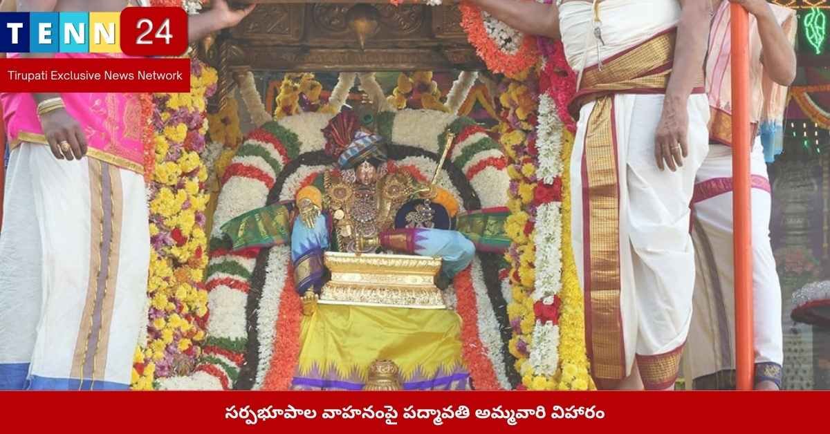 సర్పభూపాల వాహనంపై పద్మావతి అమ్మవారి దర్శనం