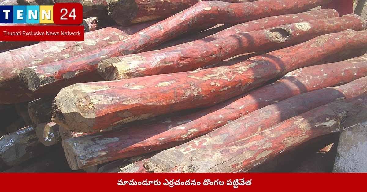 మామండూరు ఎర్రచందనం దొంగలు