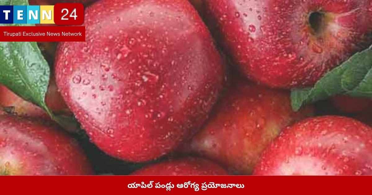 యాపిల్ పండ్లు, పోషక విలువలు, ఆరోగ్య చిట్కాలు