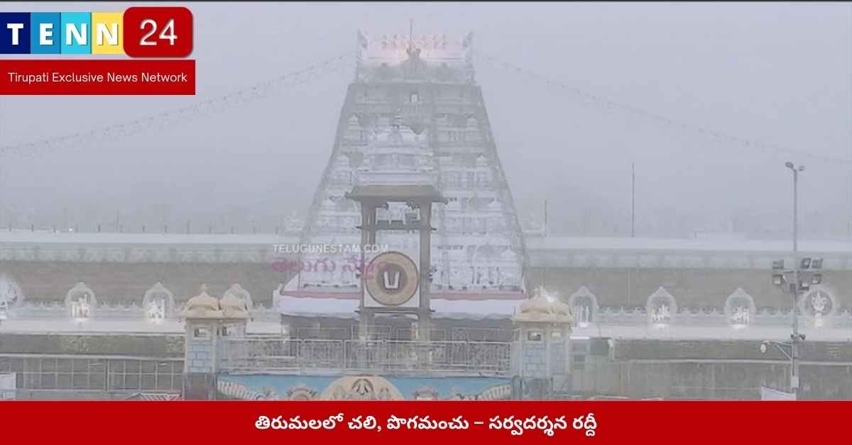 తిరుమలలో చలి రద్దీ పరిస్థితులు